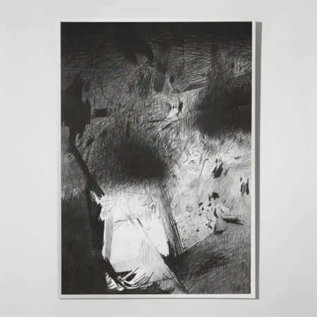 Beetle in the Anthill, 2015