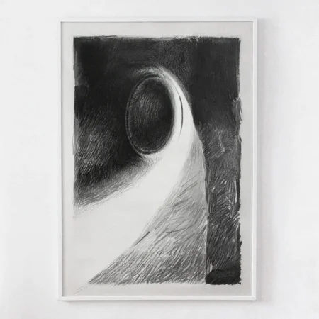 Imaginary Anatomy #2, 2015