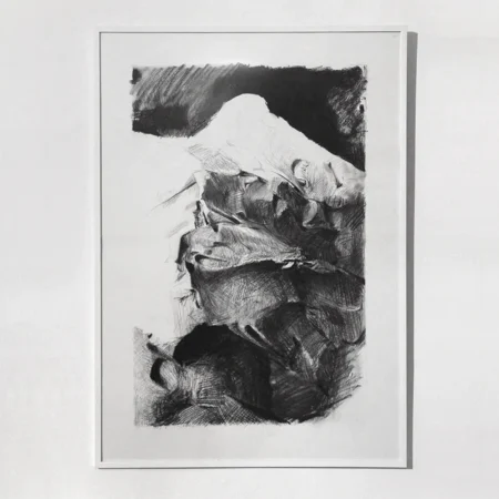 The Mud Mountain, 2017